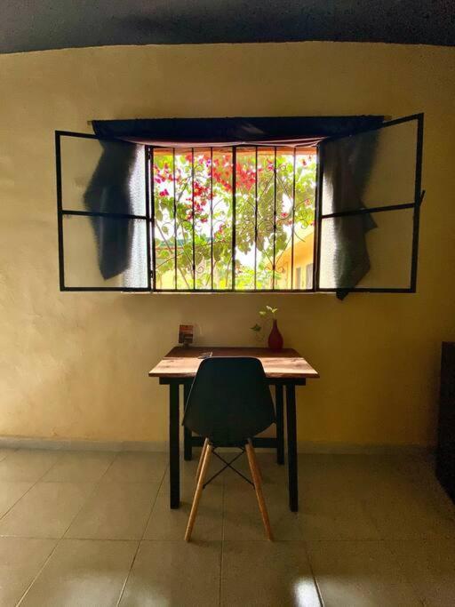 Jungla Apartment
